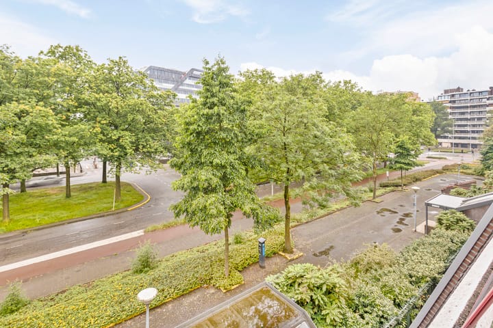 Foto 26 van Borchmolen 50