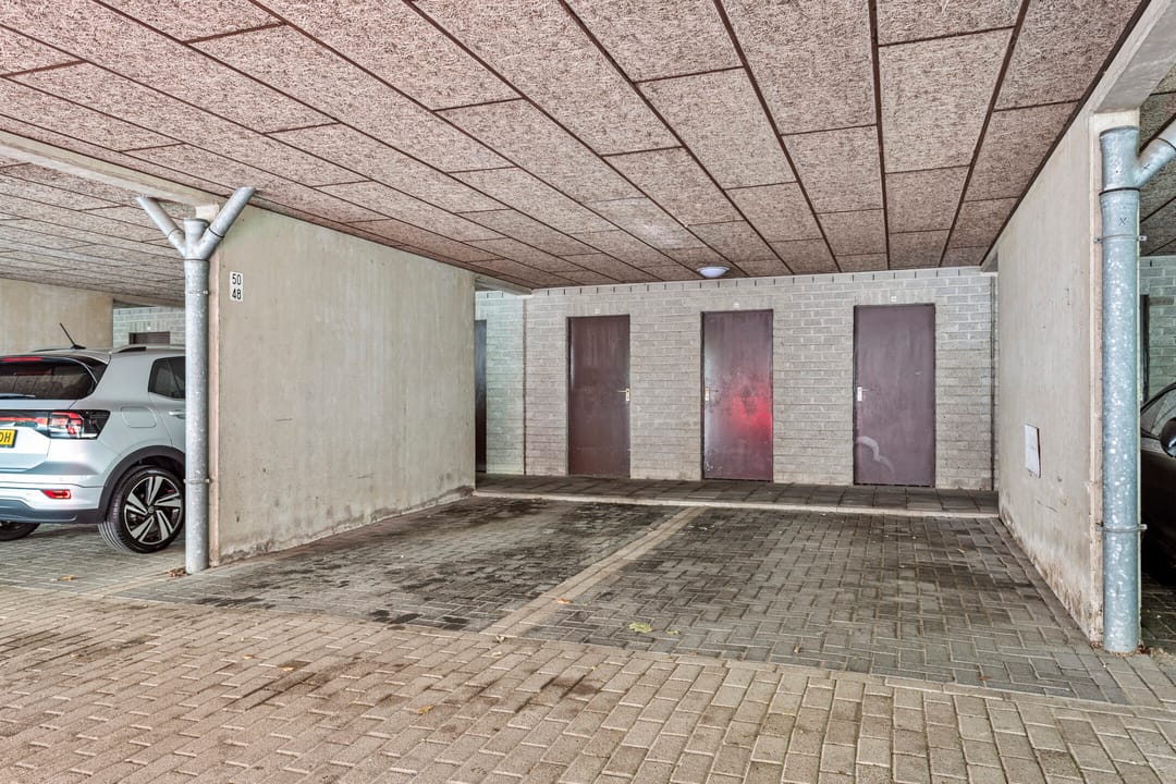 Foto 28 van Borchmolen 50