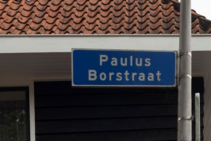 Bekijk foto 6 van Paulus Borstraat 67