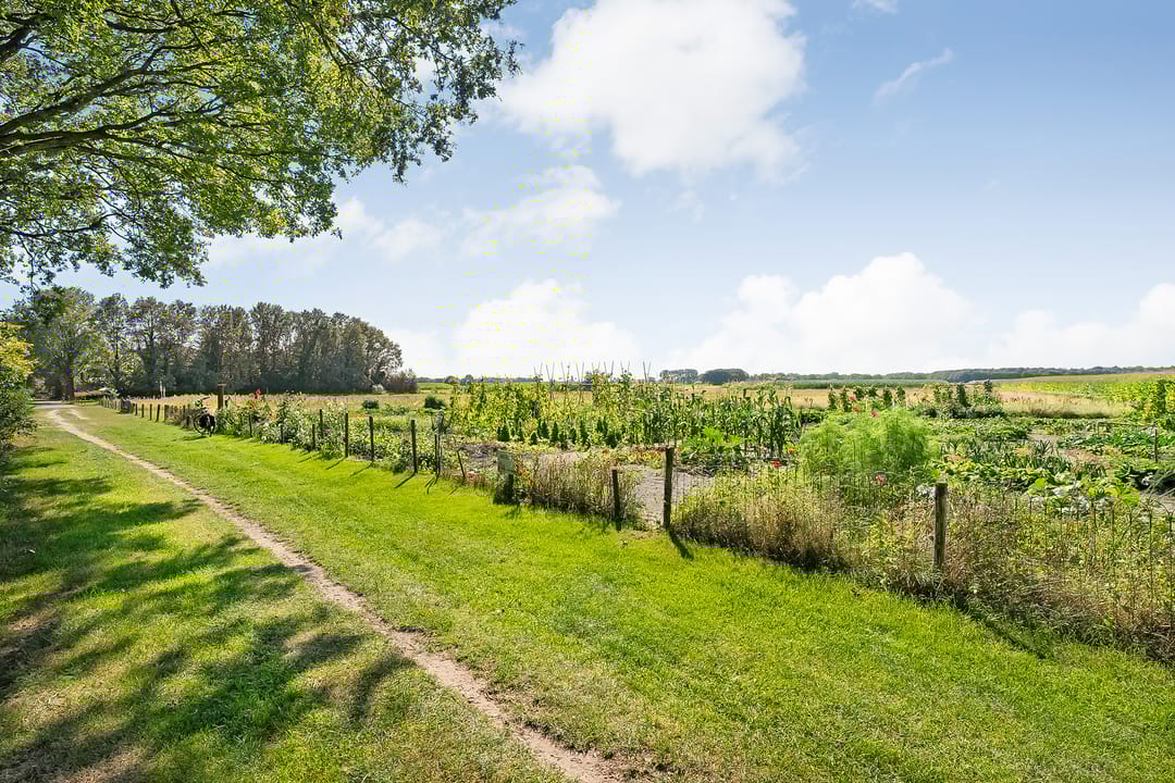 Foto 7 van Gelpenberg 11