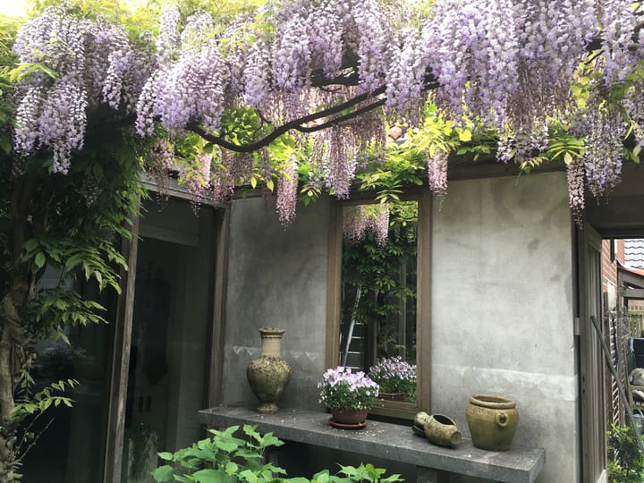 Foto 55 van Gelpenberg 11