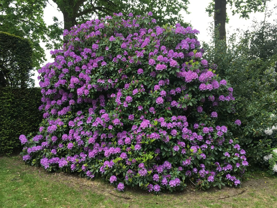 Foto 61 van Gelpenberg 11