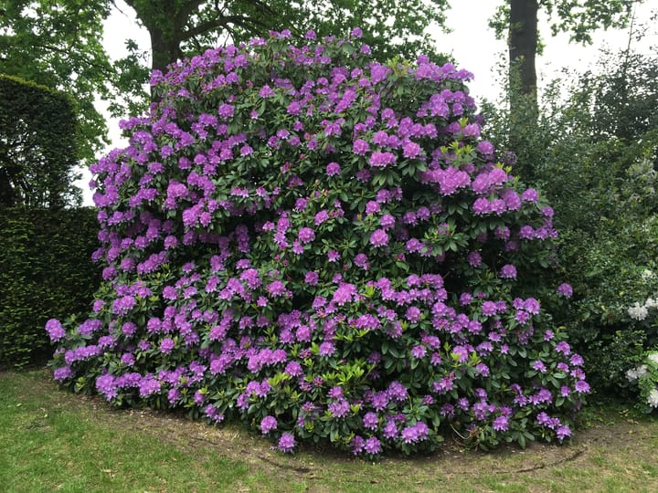 Foto 61 van Gelpenberg 11