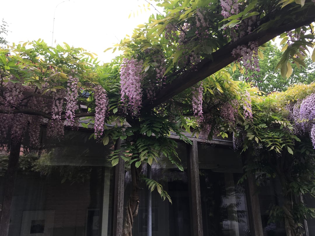 Foto 62 van Gelpenberg 11