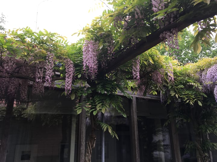 Foto 62 van Gelpenberg 11