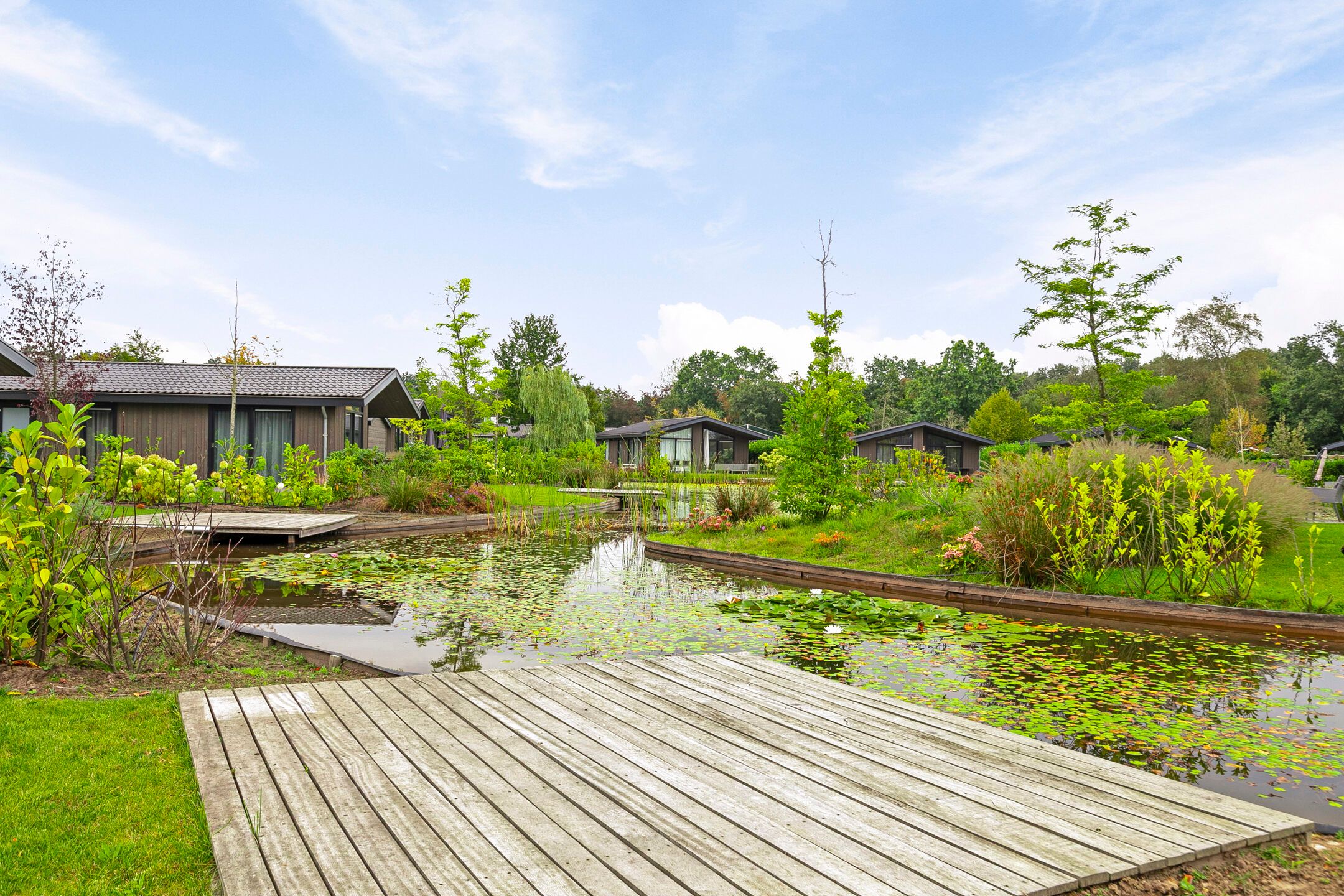 Foto 21 van Banstraat 25-184