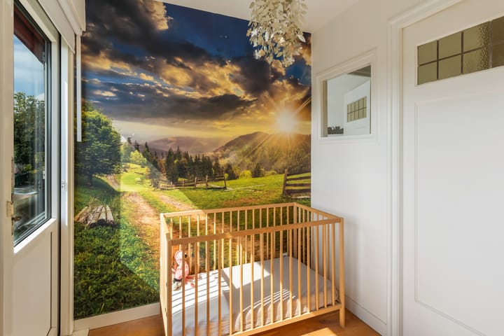 Photo 39 of Paetsstraat 2-C