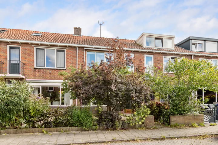 Foto 2 van Anna van Burenstraat 39