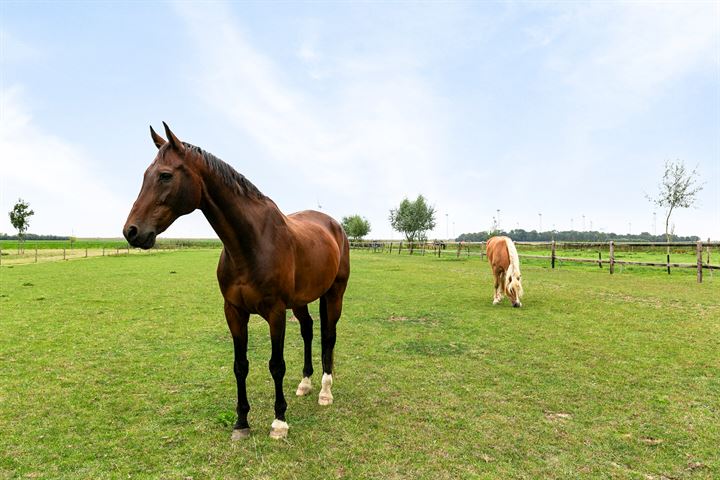 Bekijk foto 49 van Langeweg 60