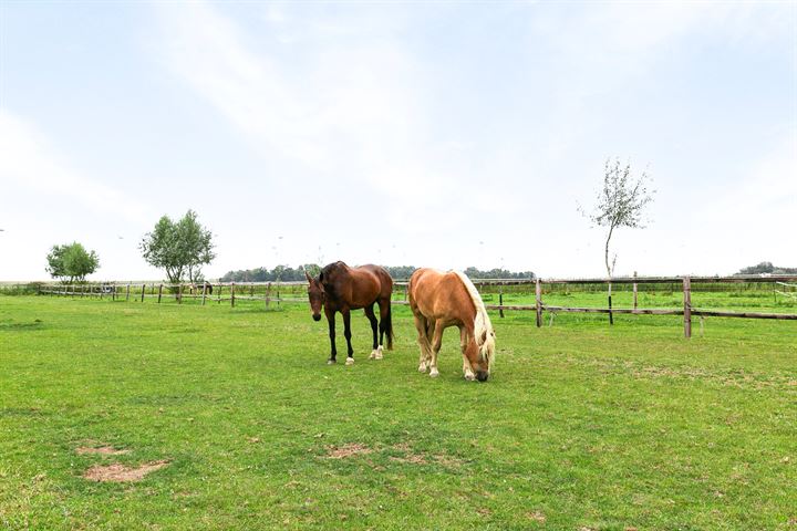 Bekijk foto 60 van Langeweg 60