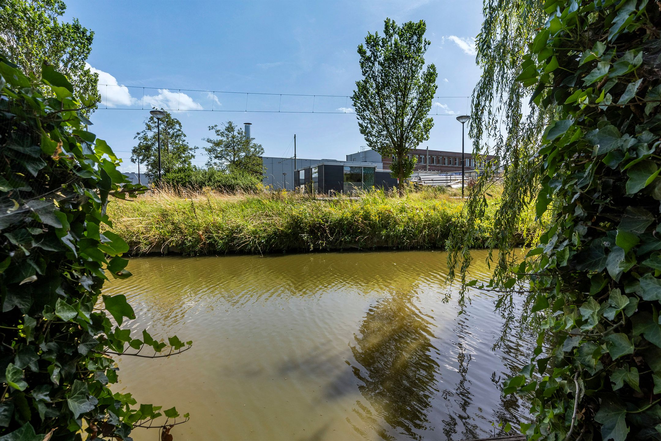 Photo 18 of Pepermuntstraat 35