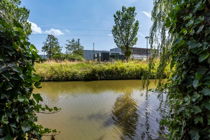 Foto 18 van Pepermuntstraat 35