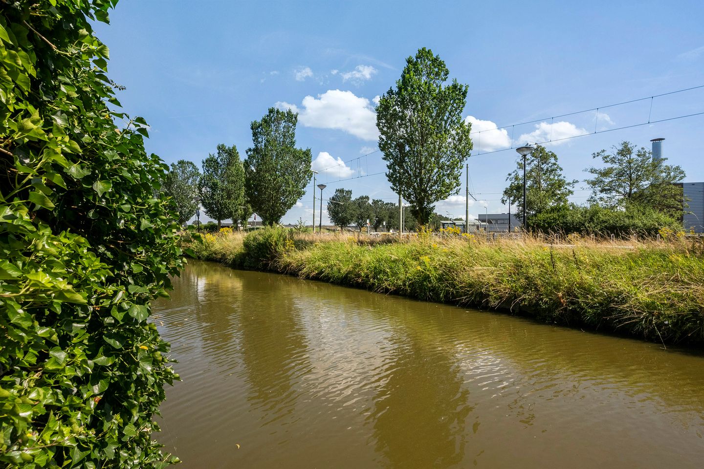 Photo 19 of Pepermuntstraat 35