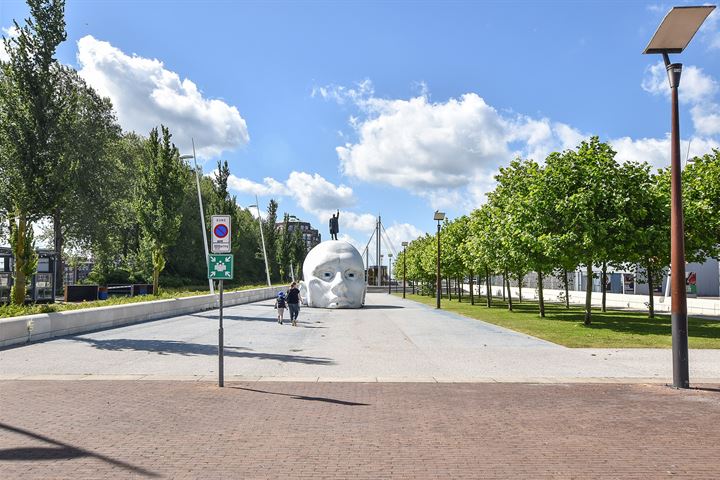 Bekijk foto 40 van Schoonzicht 264