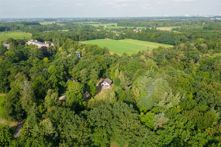 Bekijk foto 17 van Driebergseweg 11-A