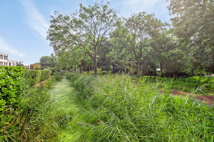 Foto 32 van Piccolo 71