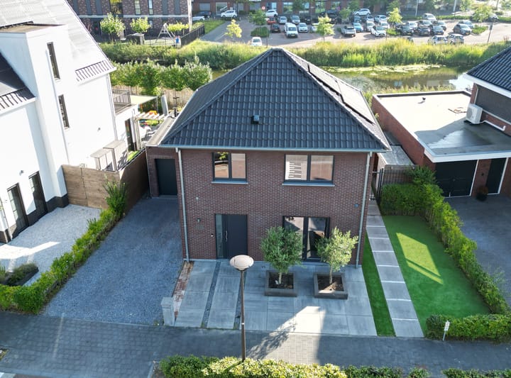 Foto 59 van Strandkrab 88