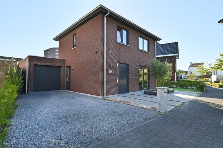 Foto 53 van Strandkrab 88