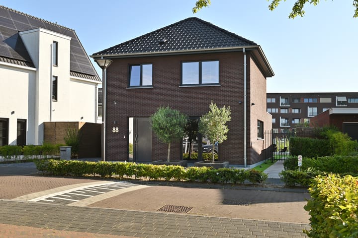 Foto 57 van Strandkrab 88