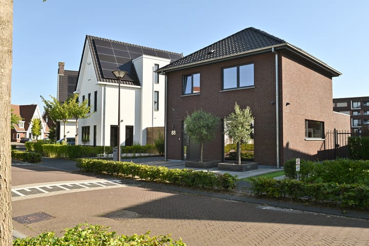 Foto 58 van Strandkrab 88