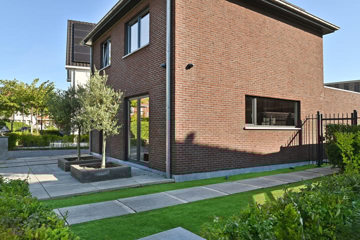 Foto 55 van Strandkrab 88