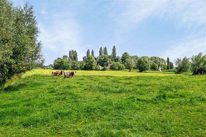 Bekijk foto 40 van Uiterwijkseweg 4