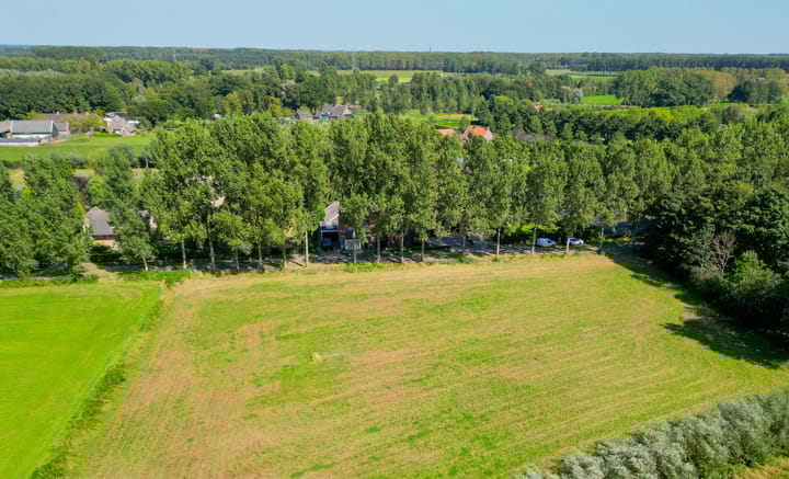 Photo 3 of Vossenbergsesteeg