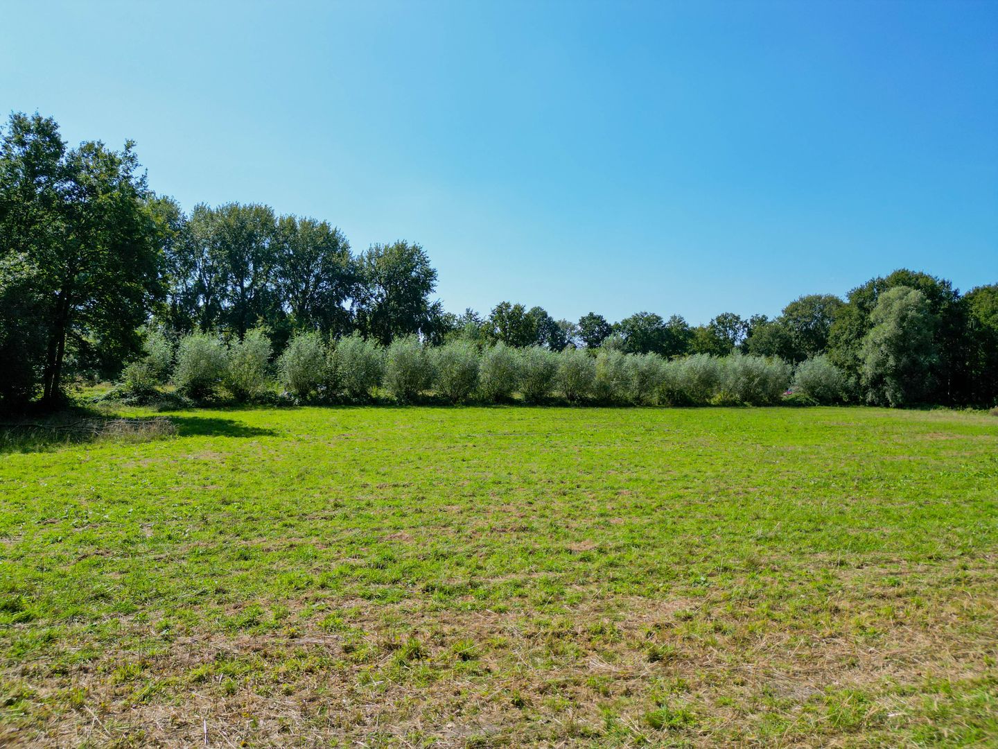 Photo 4 of Vossenbergsesteeg