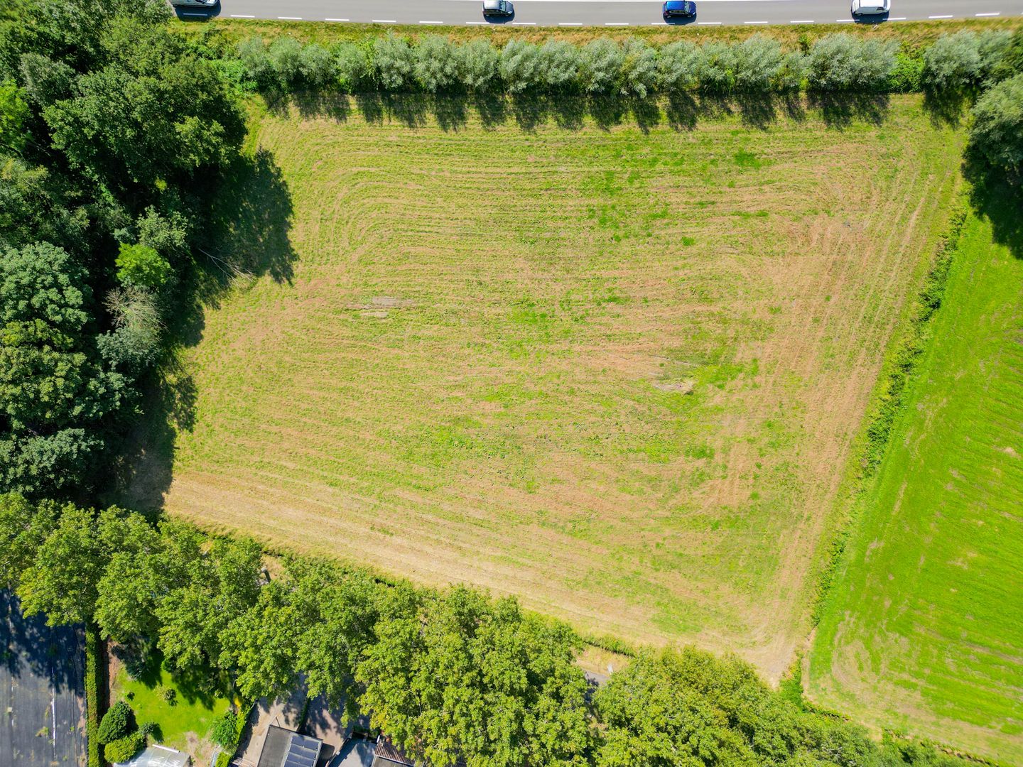 Photo 5 of Vossenbergsesteeg