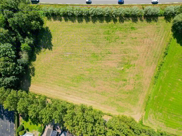 Photo 5 of Vossenbergsesteeg