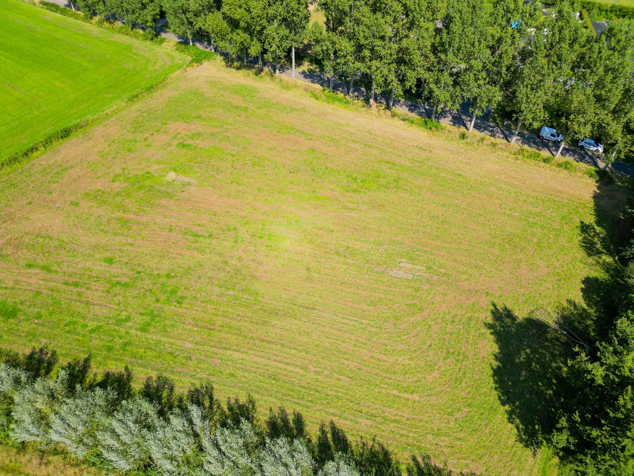 Photo 6 of Vossenbergsesteeg