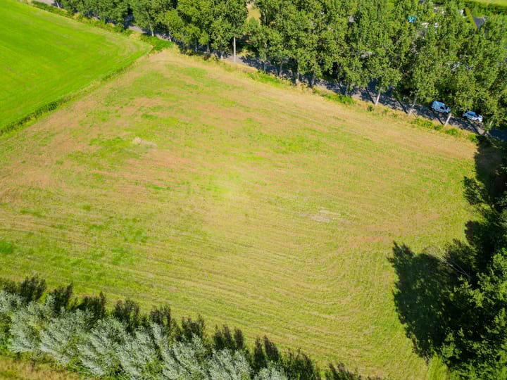 Photo 6 of Vossenbergsesteeg