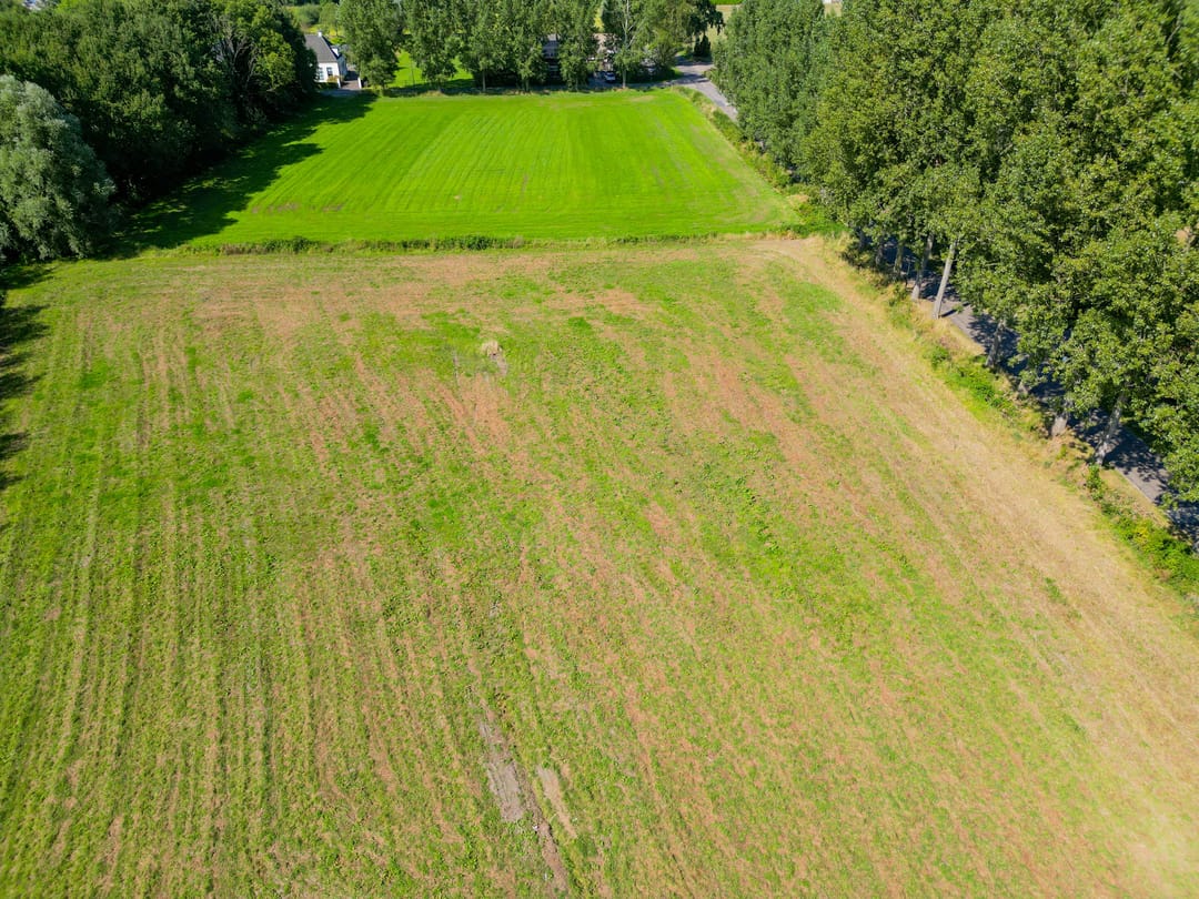 Photo 7 of Vossenbergsesteeg