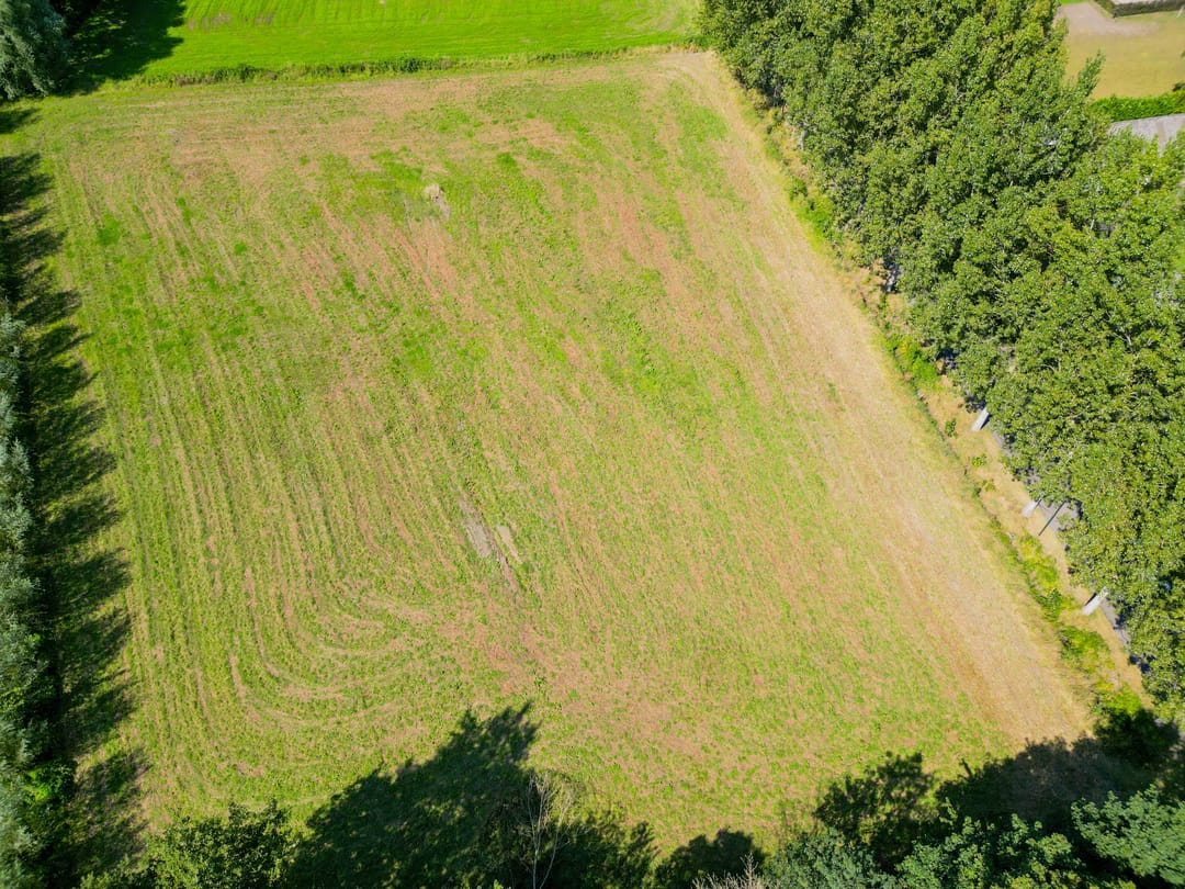 Photo 8 of Vossenbergsesteeg