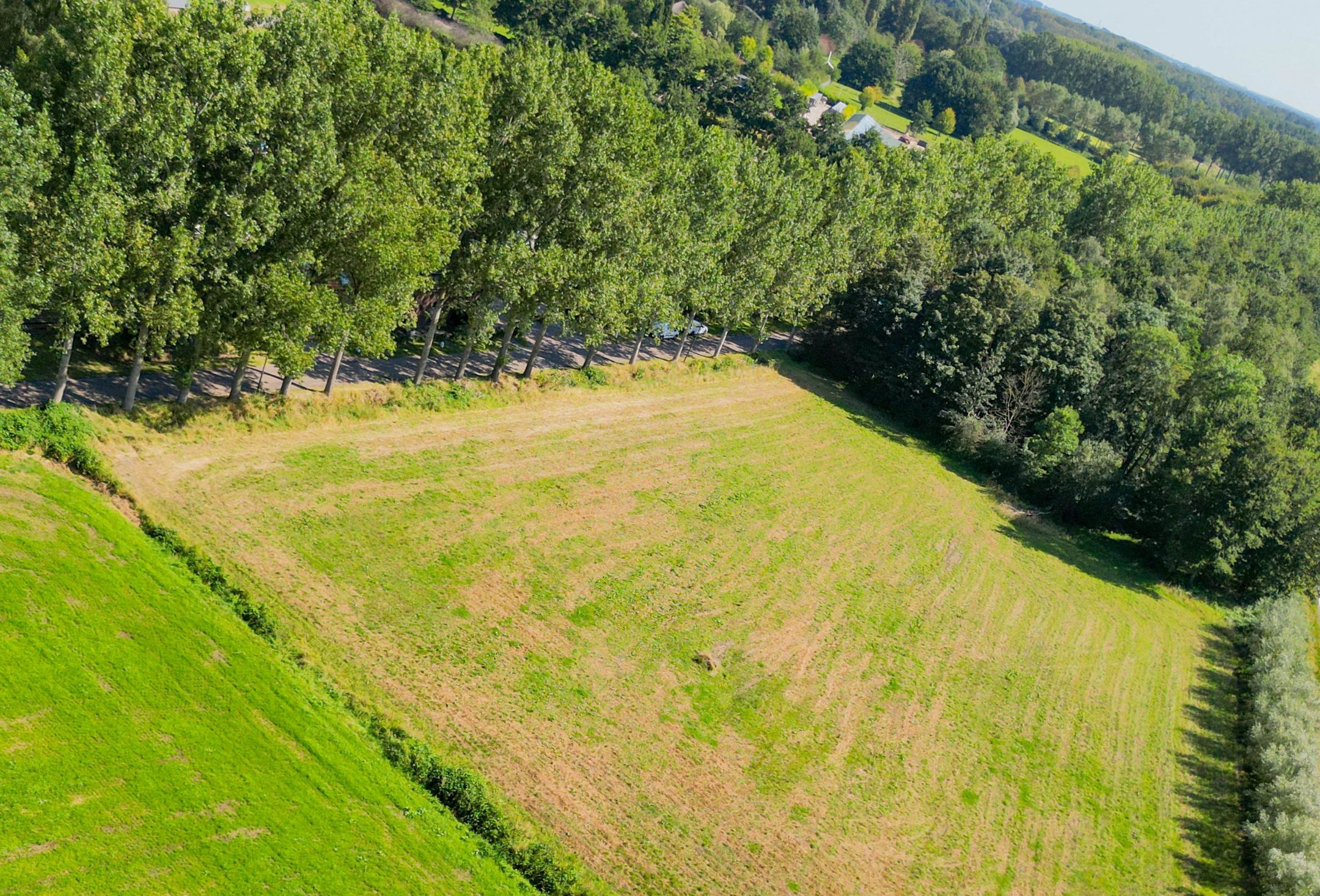 Photo 9 of Vossenbergsesteeg