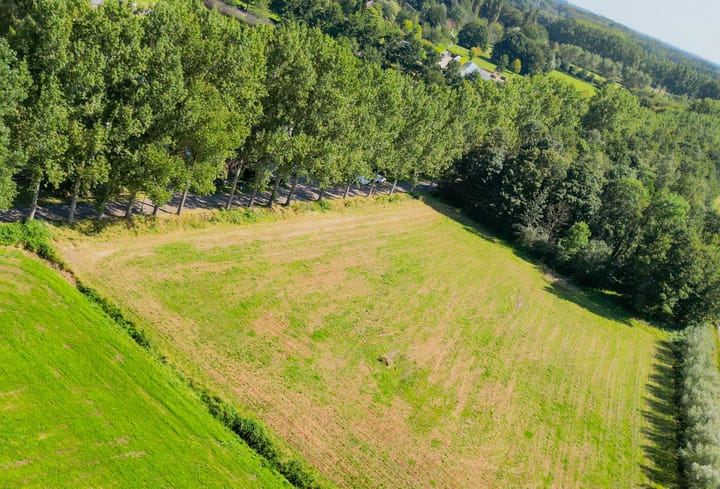 Photo 9 of Vossenbergsesteeg