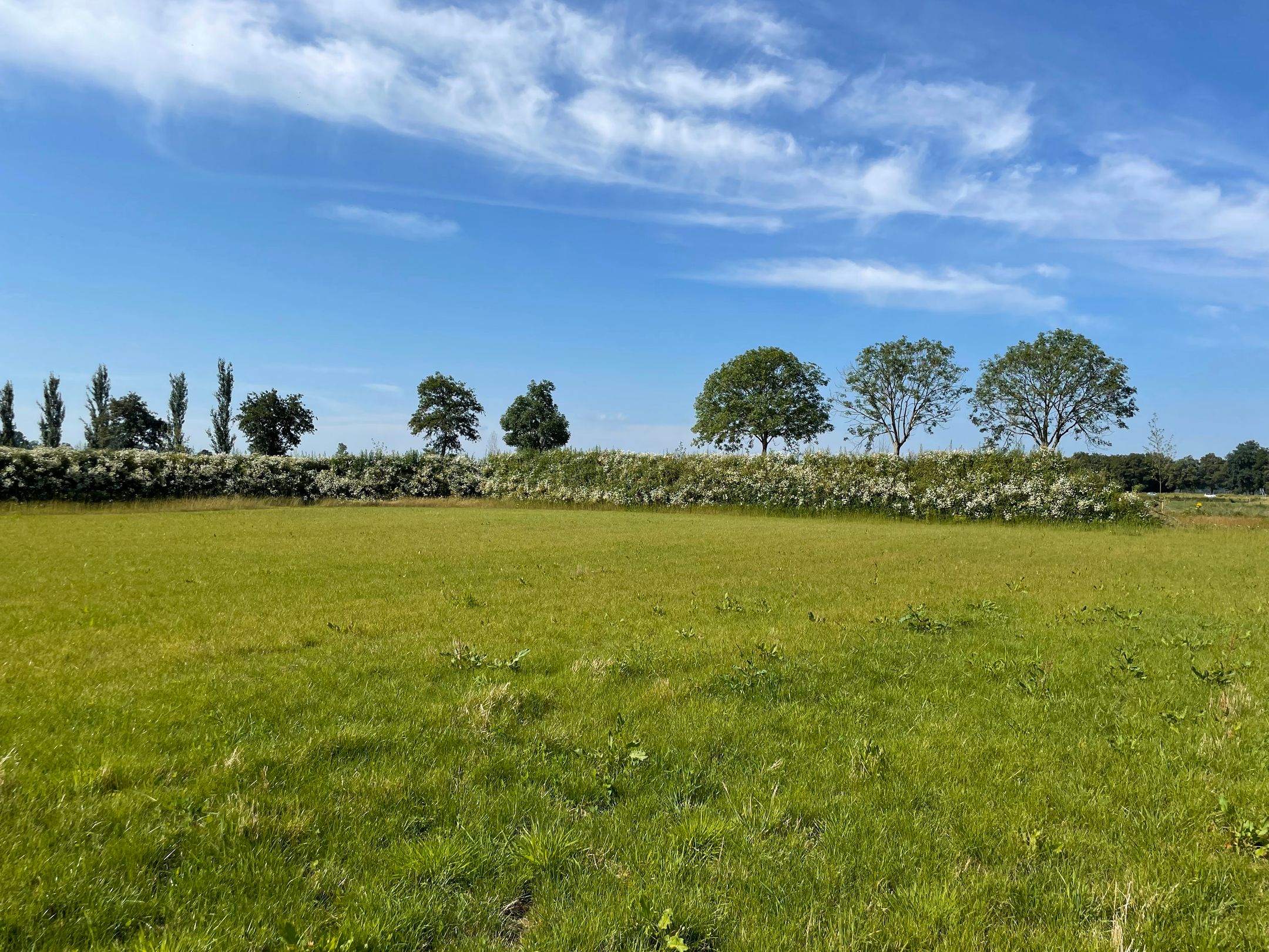 Foto 9 van Bouwkavel Schaapsdijk