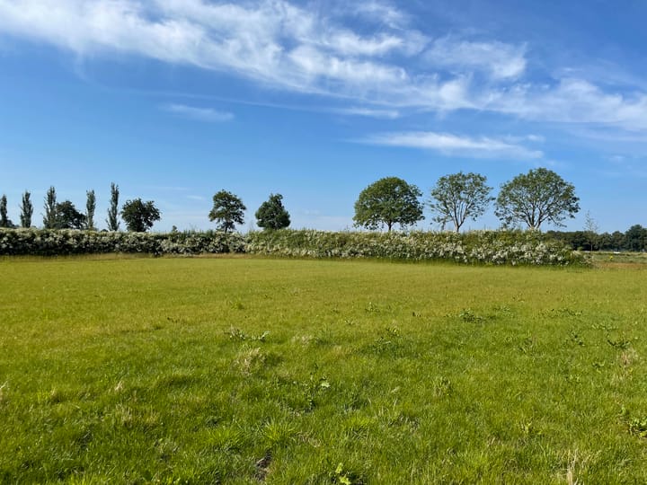 Photo 9 of Bouwkavel Schaapsdijk