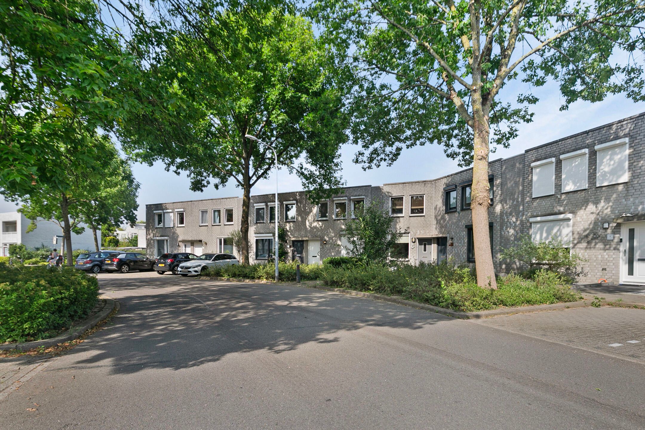 Photo 24 of Balsemienbeemd 29