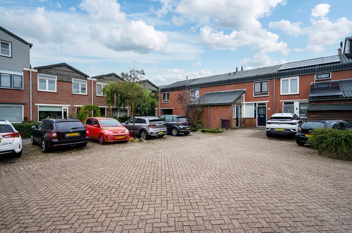 Foto 6 van Zebraspoor 233