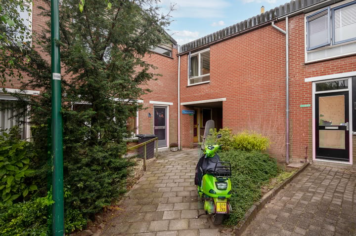 Foto 7 van Zebraspoor 233