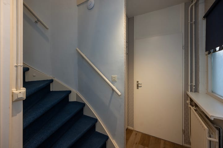 Foto 12 van Zebraspoor 233