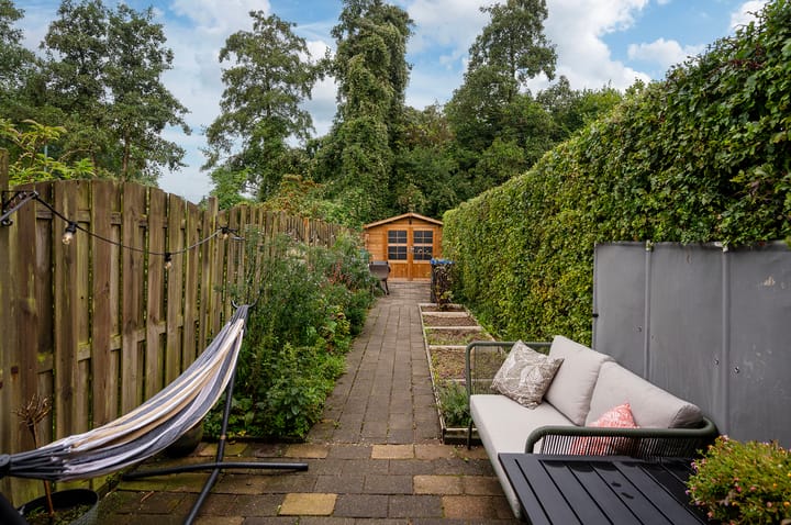 Foto 3 van Zebraspoor 233