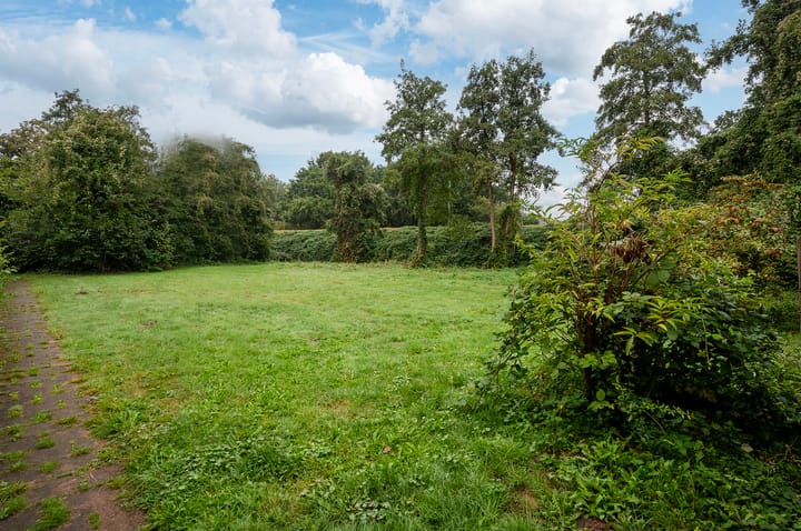 Foto 30 van Zebraspoor 233