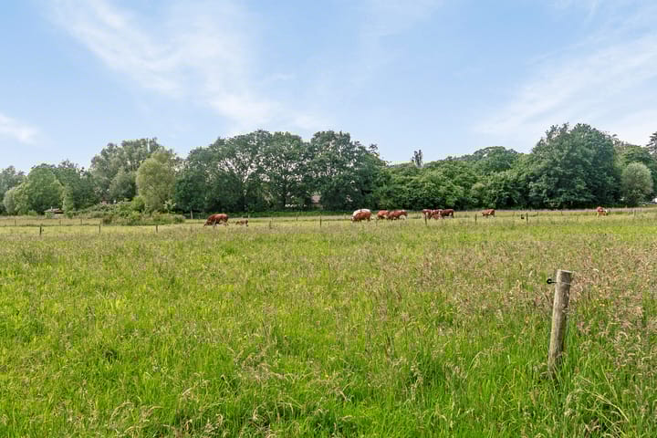 Foto 4 van Eikelhofweg 3