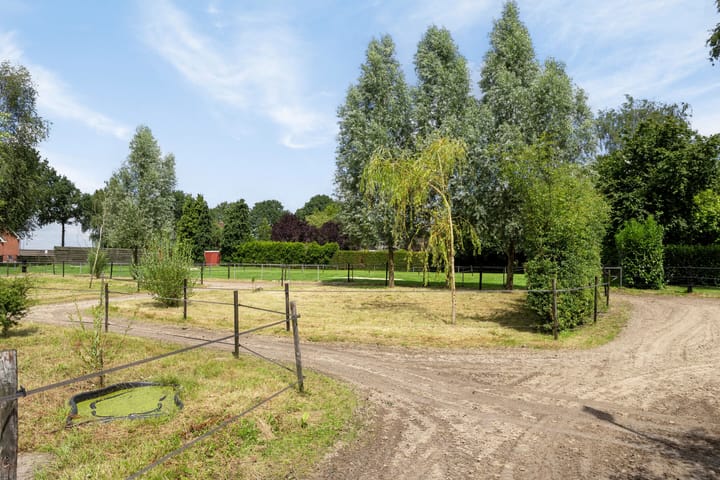 Foto 80 van Zuiderdiep 59