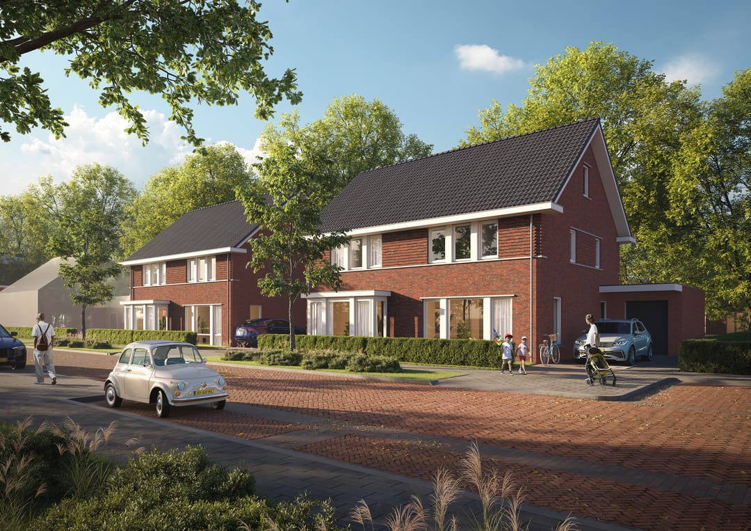 Foto 2 van Tweekapper Spelt bwnr 21t/m26 & 97t/m100