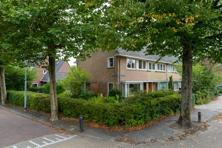 undefined main image