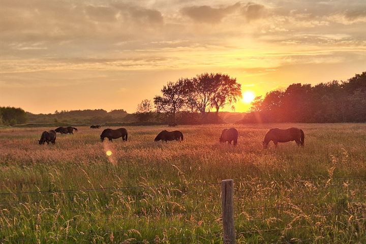 Bekijk foto 64 van Sint Adelbertusweg 15-C