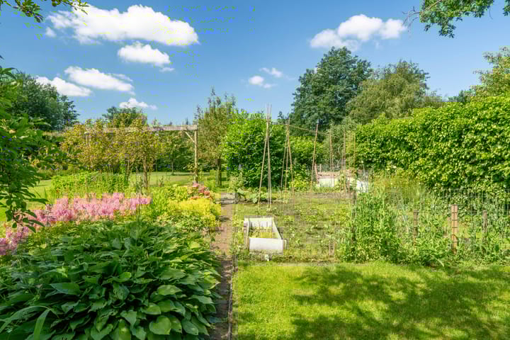 Foto 85 van ter Borchlaan 60